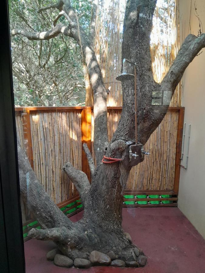 Villa Kosi Bay Casitas Manguzi Exterior foto